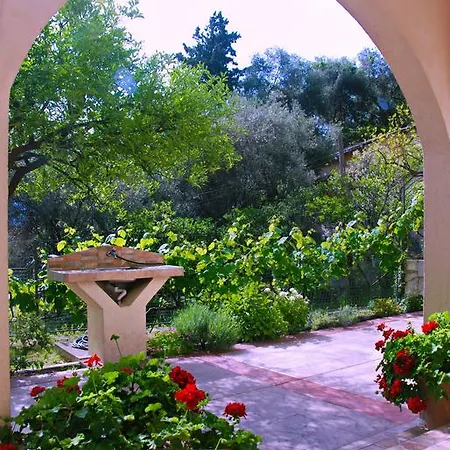 Vila Mitrovic Budva Room photo